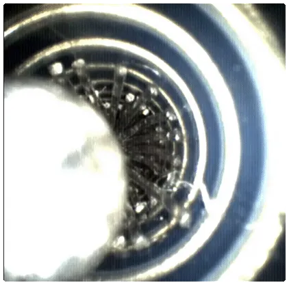 Inshot2