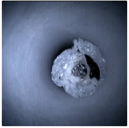 Inshot3