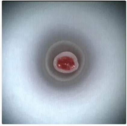 Inshot4